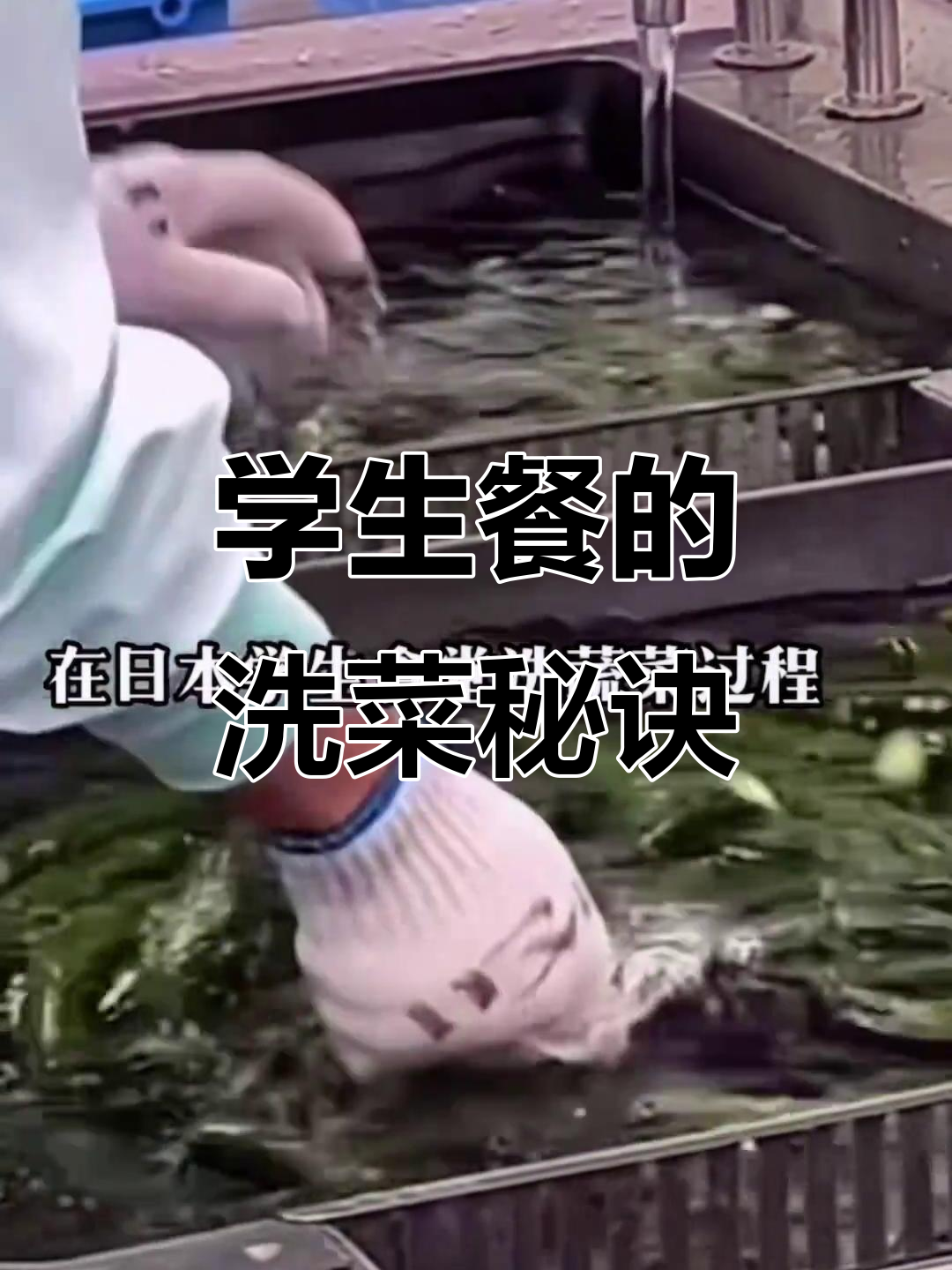 确保学生餐安全与口感,洗菜环节至关重要