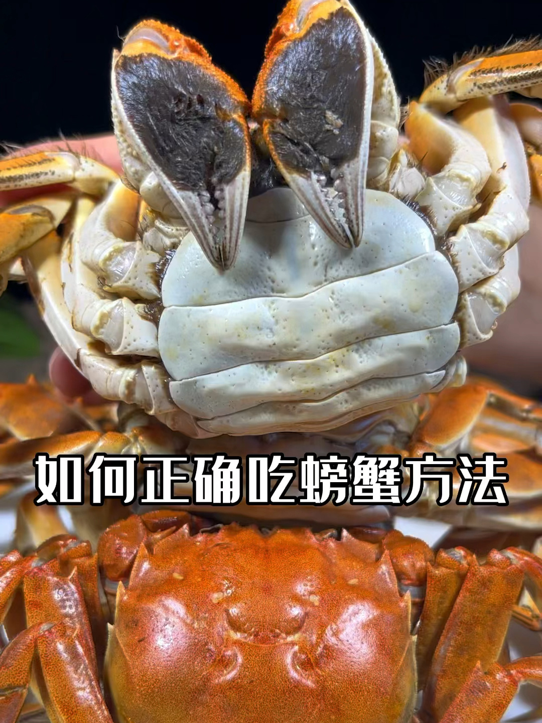 螃蟹到底哪里不能吃?看橘子这个视频吧!