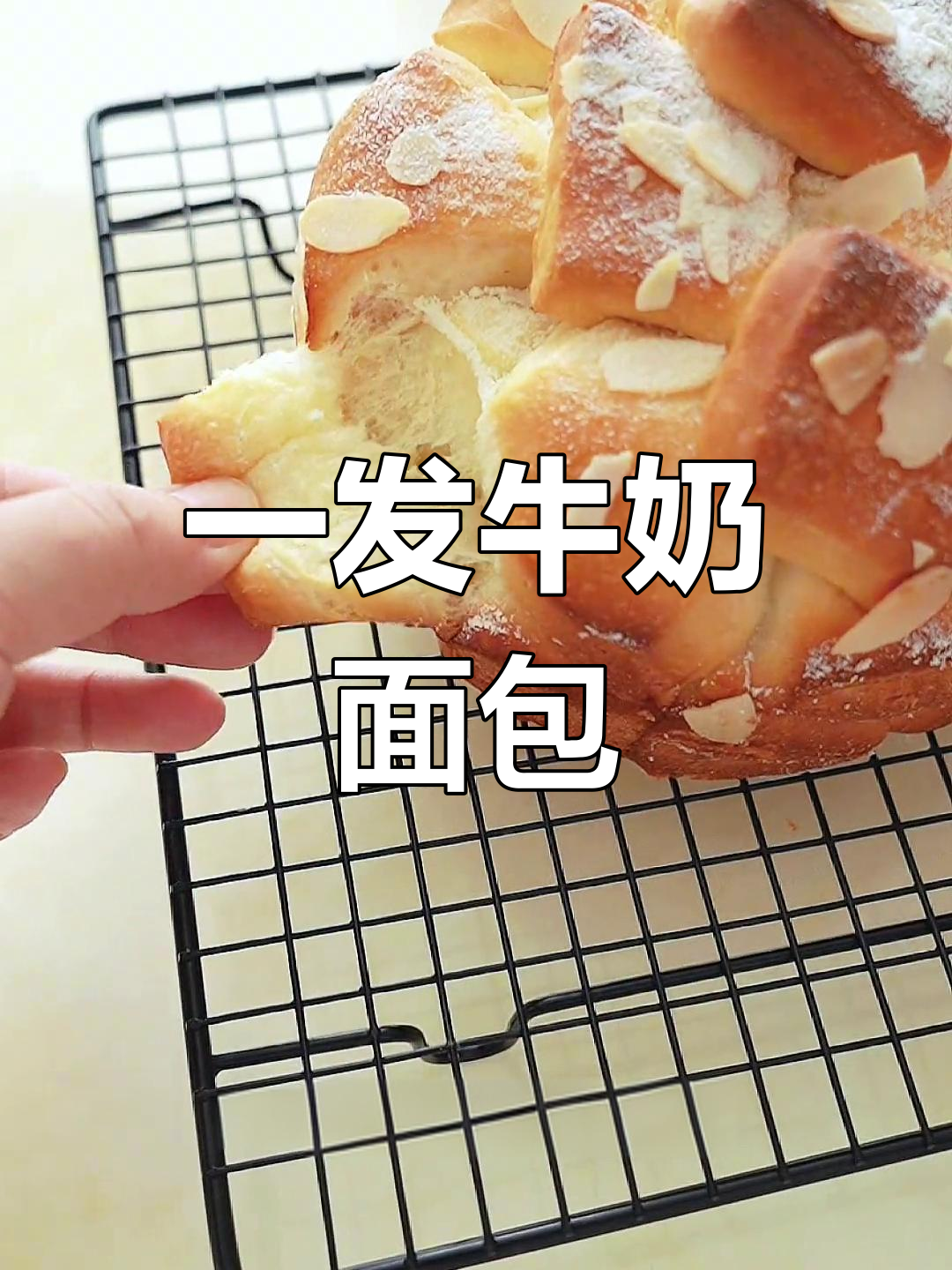 无需整形,一次发酵轻松做牛奶面包,奶香浓郁让人无法抗拒
