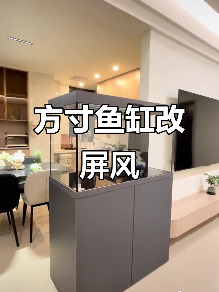 博特方寸鱼缸改造:直角溢流变屏风隔断,打造空气缸新体验