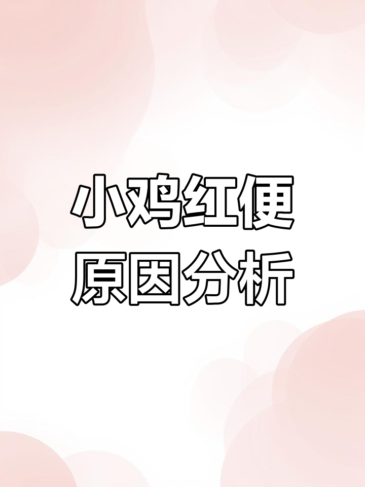 小鸡拉红色粪便怎么办?如何应对肠道问题