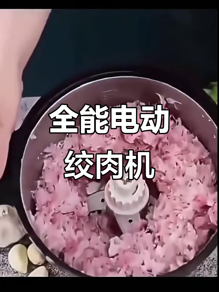 汉佳欧斯大功率电动绞肉机，家用商用皆宜，全自动操作