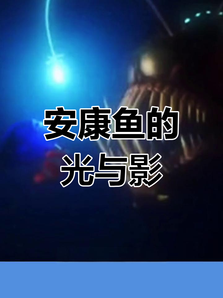 深海中的灯笼女王鱼:雌性安康鱼的独特光芒