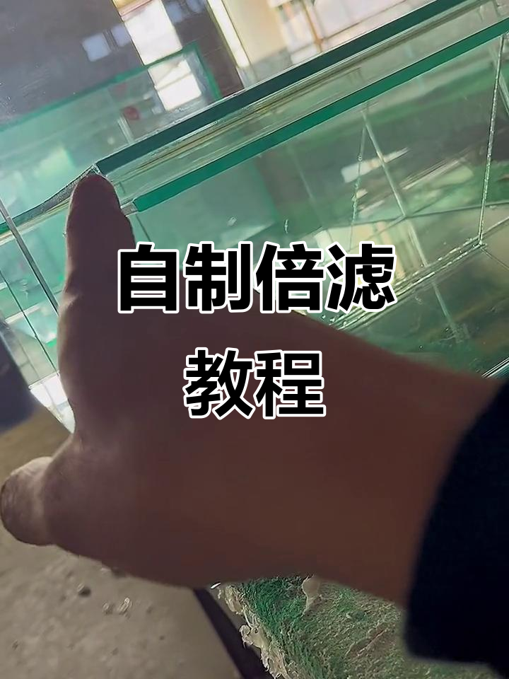 背滤侧滤制作全攻略,轻松打造个性化鱼缸