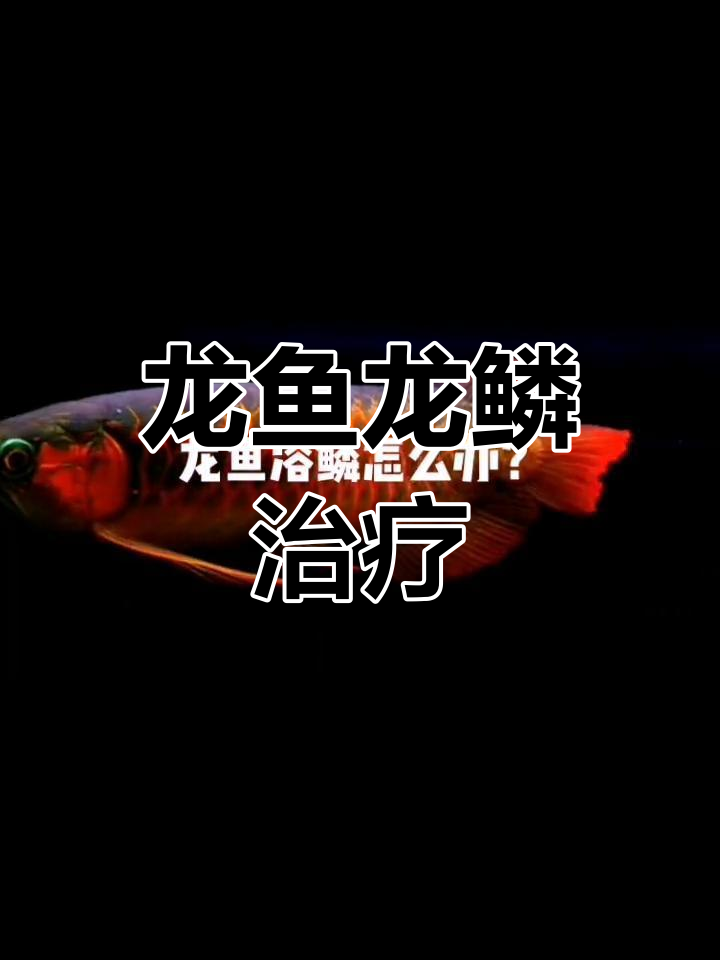龙鱼龙鳞问题诊断与治疗方法
