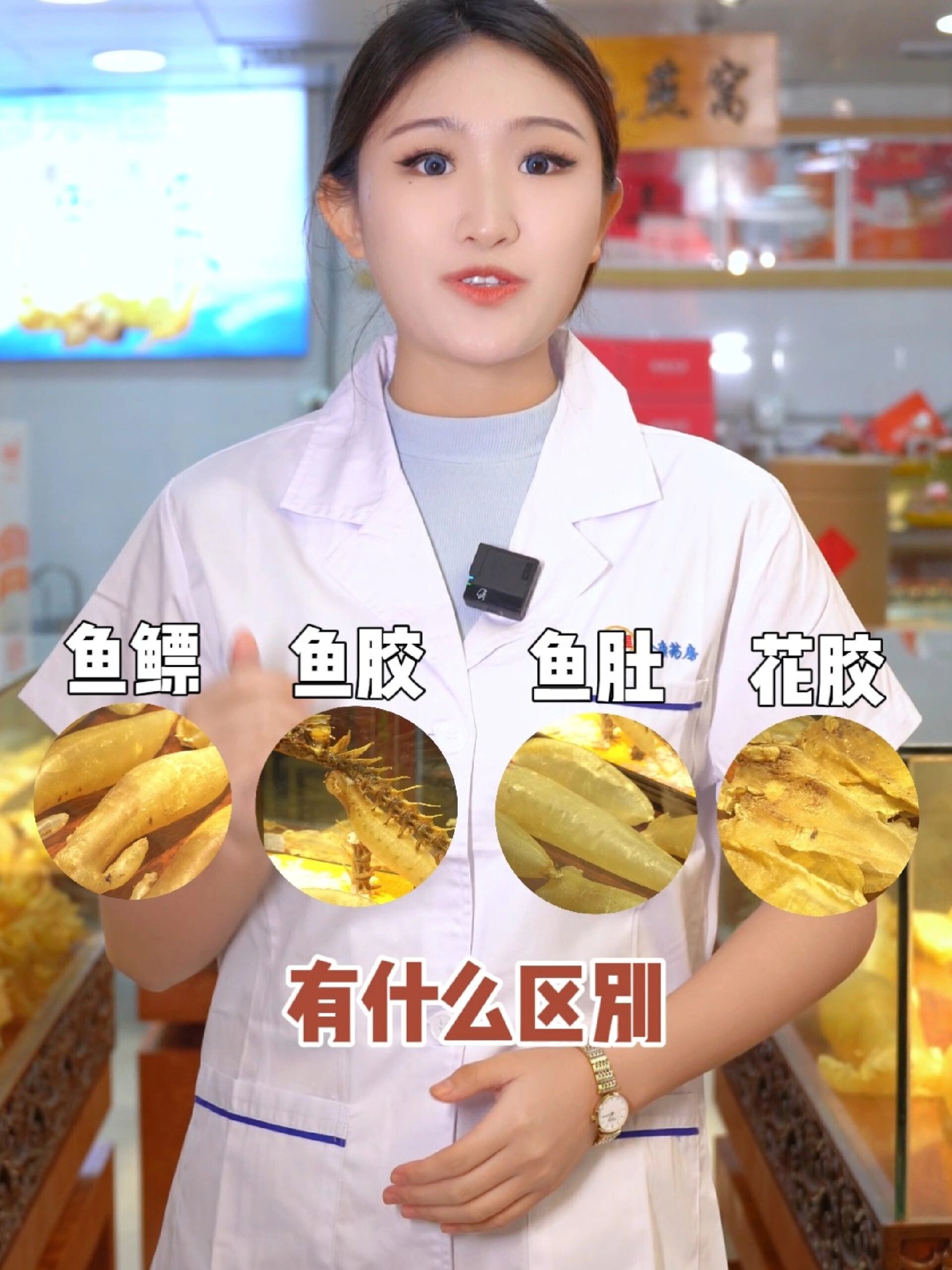 鱼鳔、鱼肚、鱼胶、花胶有什么区别