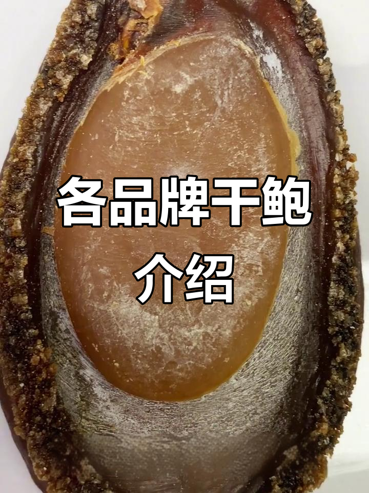 不同品种干鲍鱼大揭秘:南非、日本极品一网打尽