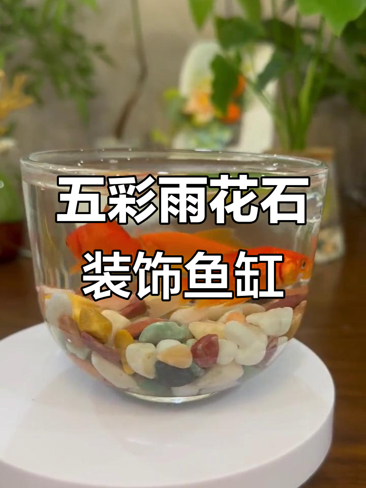 雨花石与五彩石的美丽碰撞,鱼缸盆景增添自然魅力