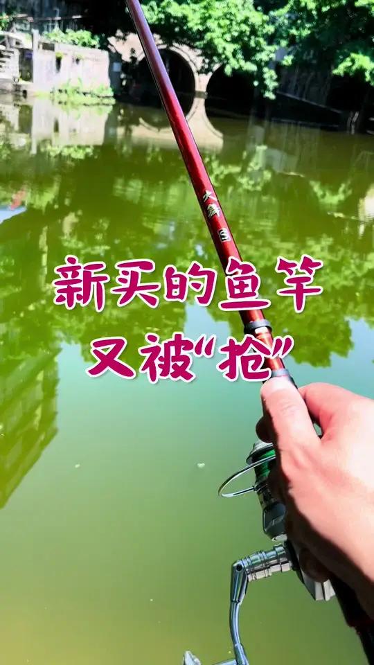 新鱼竿又被抢了 新买的3.6米的火舞S滑漂竿,4号调性钓小鱼有手感,大鱼有腰力,碳纤维轮座