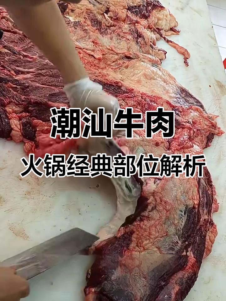 潮汕牛肉火锅肩胛腹部分解,揭秘匙皮与雪花肉质
