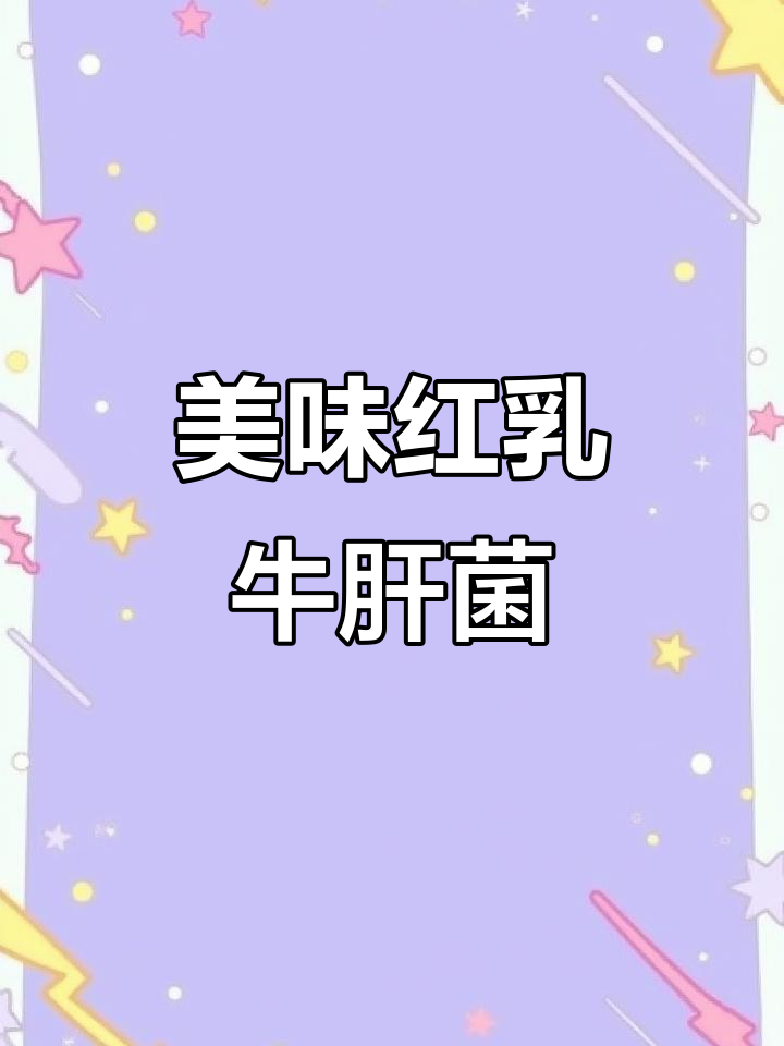 红乳牛肝菌,炒煮凉拌皆宜,口感鲜美,吃法多样!