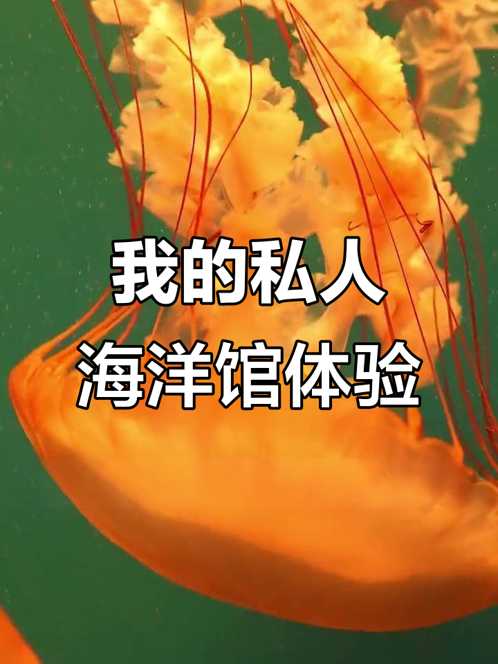 探秘只属于我一个人的海洋馆,巨骨蛇鱼和中华鲟都在这里!
