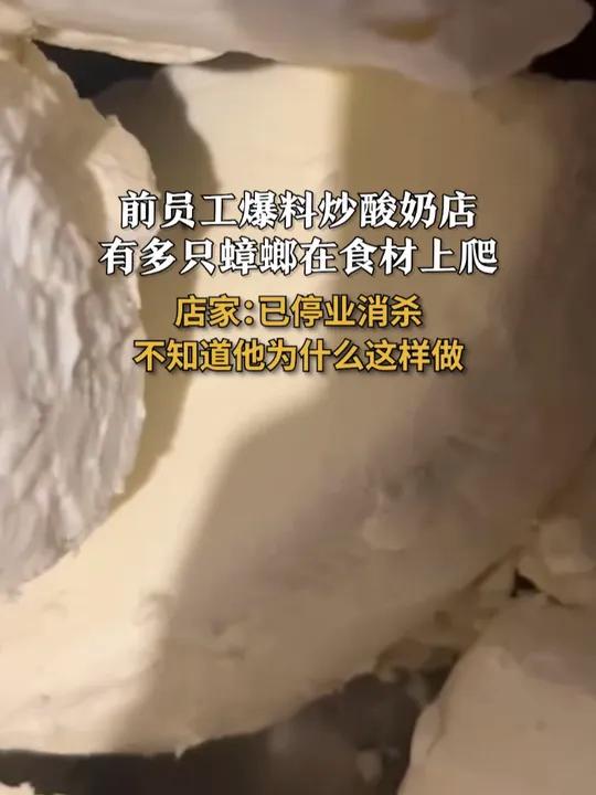 店家回应前员工爆料蟑螂在食材上爬:已停业消杀 不知道他为什么这样做 食品安全 卫生 炒酸奶
