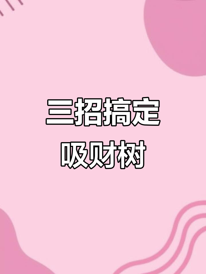 吸财树养护三步走,轻松打造健康老桩