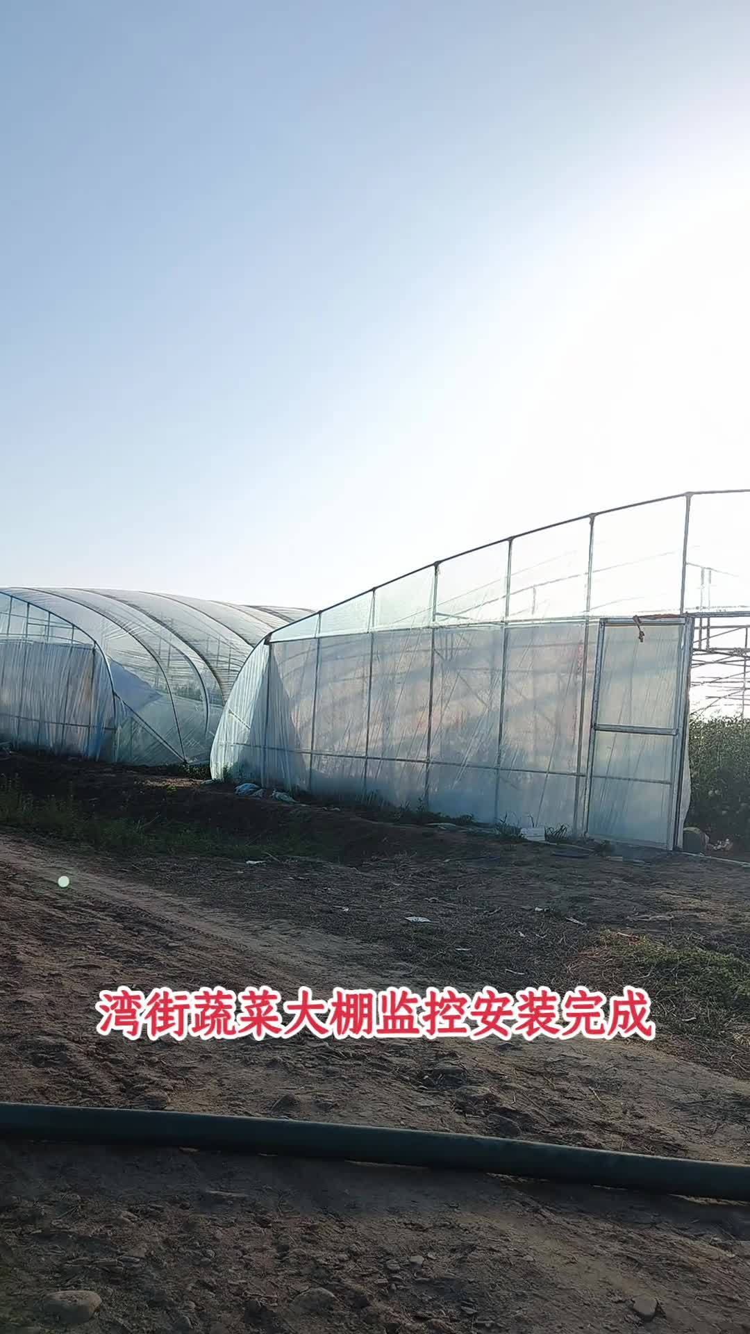看蔬菜大棚高清监控安装完成 专业的事情交给专业人去做 专业安装 监控摄像头 施工现场实拍