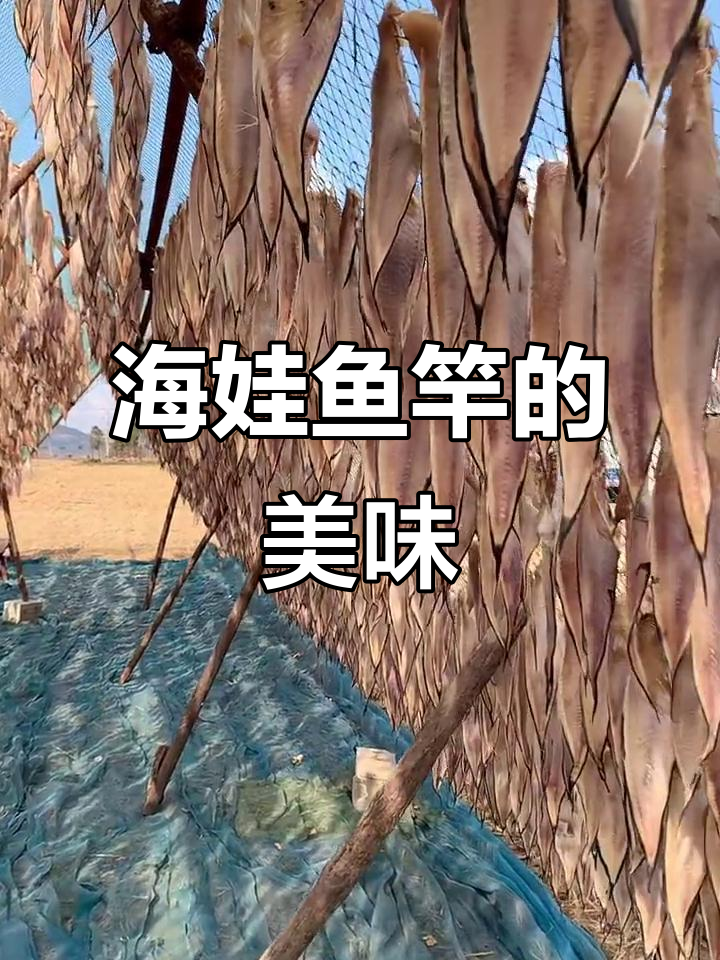 深海鱼干大揭秘，北方马哈鱼的独特晒场美味