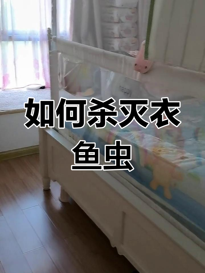 卧室衣鱼虫如何消灭