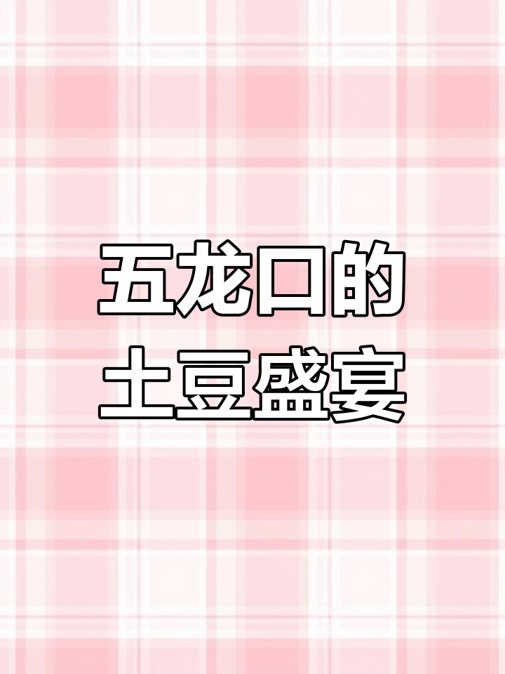 太原五龙口土豆宴,吃法新奇又美味