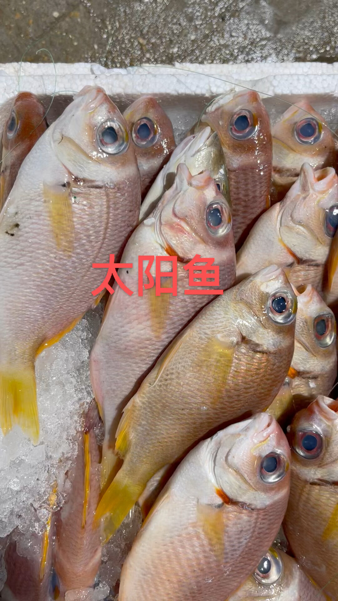太阳鱼的营养价值有哪些1.促进生长发育:太