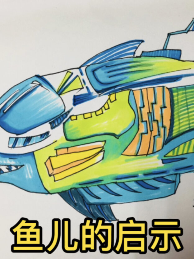 鱼儿的启示
