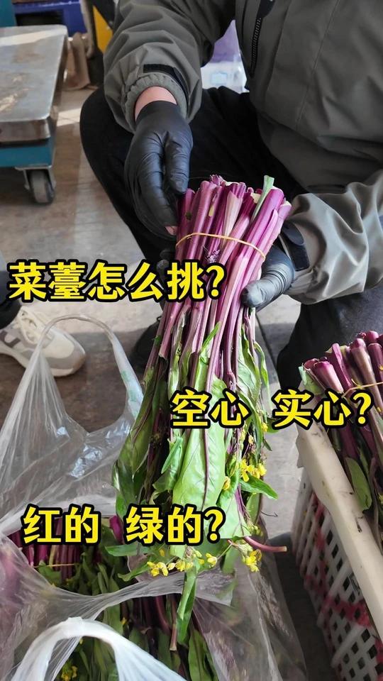菜薹怎么挑？