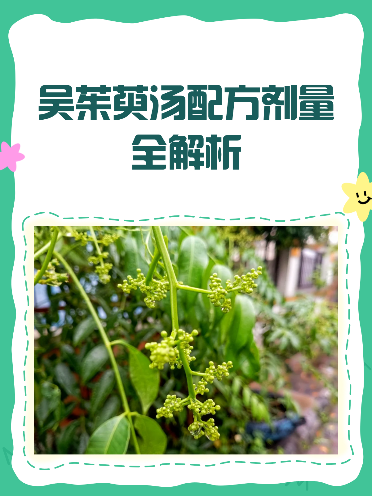 吴茱萸汤配方揭秘,温中补虚就靠它!