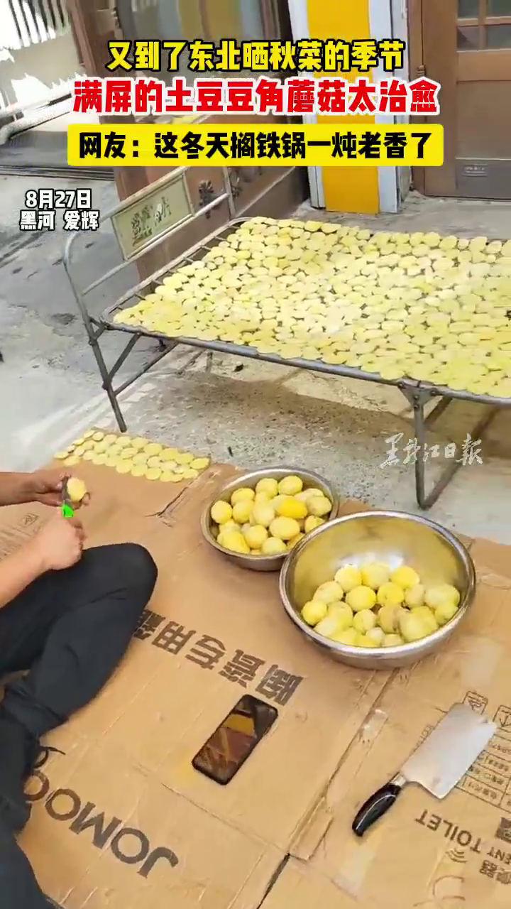 又到了东北晒秋菜的季节,满屏的土豆豆角蘑菇太治愈