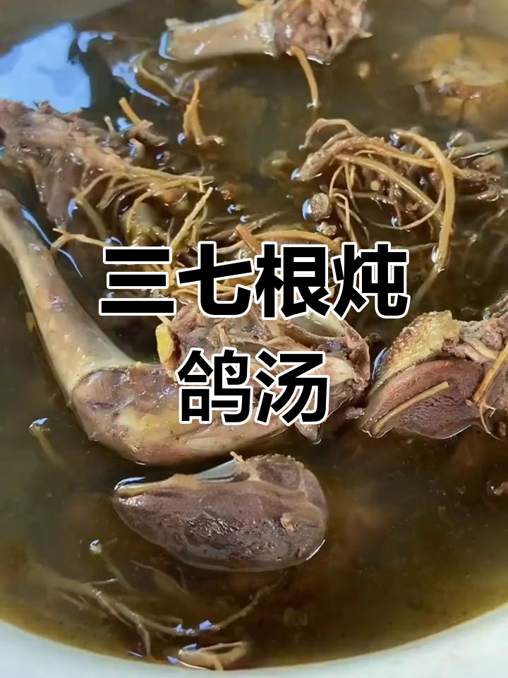 三七根炖鸽子,滋补美味做法