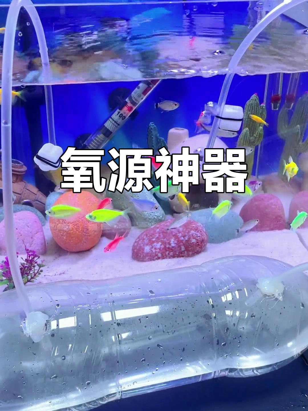 无需电源,鱼缸氧气不断供应,省心又神奇!