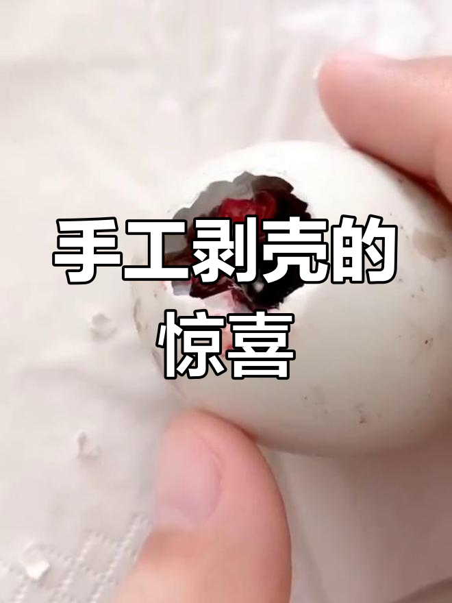 人工孵化柯尔鸭,竟然孵出黑色小生命!