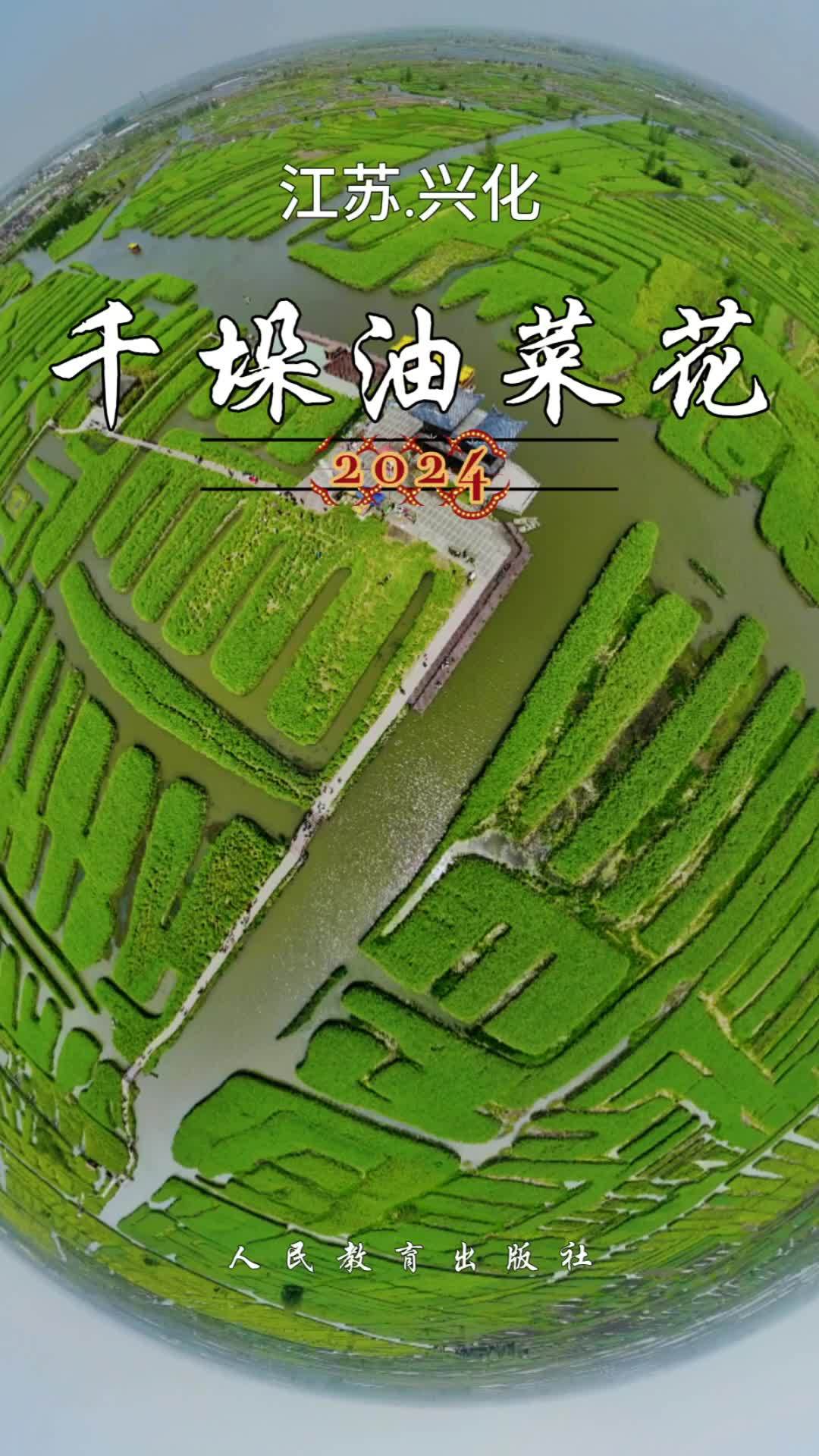 烟花三月,江苏兴化千垛油菜花即将盛开(3.15开业),第二波早鸟票开始抢购,数量有限,赶紧