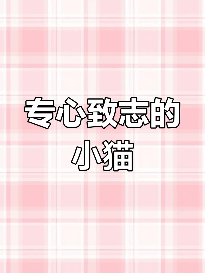 小猫钓鱼的故事:专注才能成功