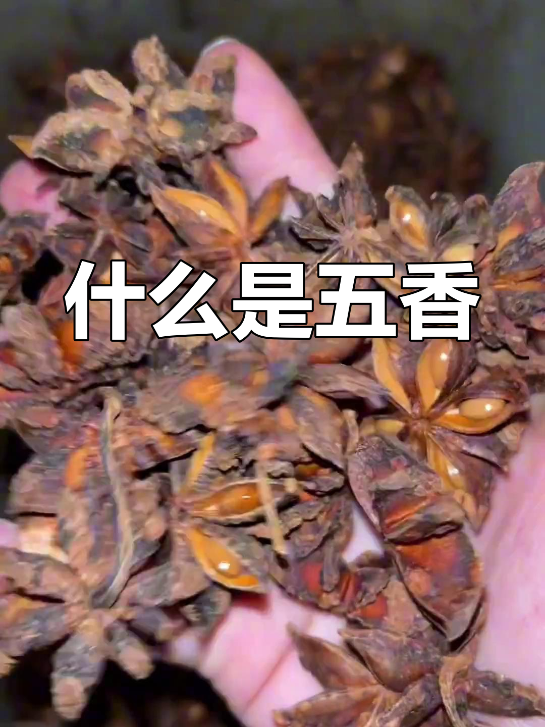 五香是什么?做卤肉必备的调味料,快来了解一下