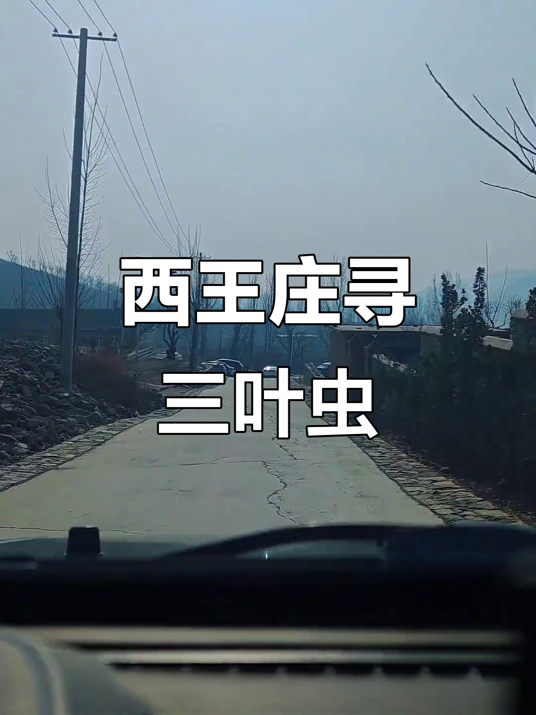 莱芜西王庄村探秘三叶虫化石,亲子徒步体验地质奇观
