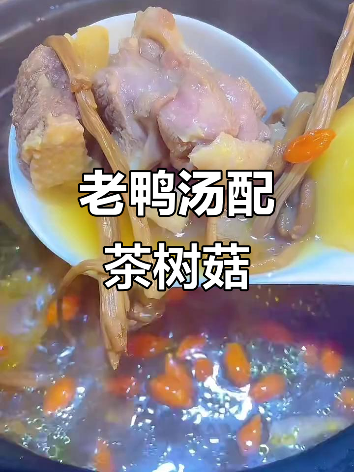 茶树菇老鸭汤,简单食材炖出鲜香美味