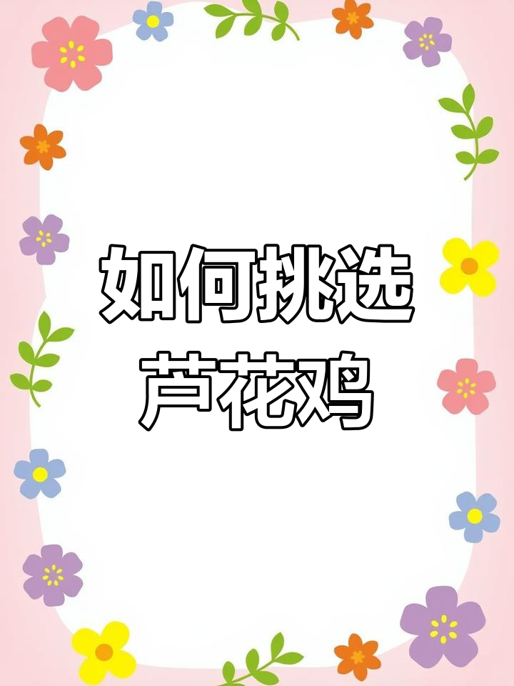 纯正芦花鸡的特征与辨别方法