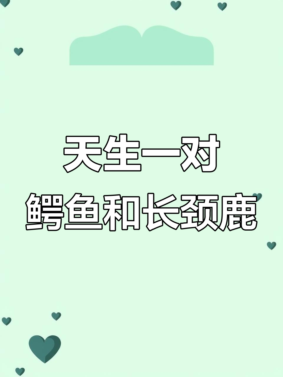 鳄鱼与长颈鹿的甜蜜生活:虽然身高差距大,但真爱无敌