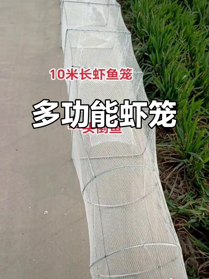 这款虾笼适合多种鱼类,轻松捕捉大小不一的水中生物