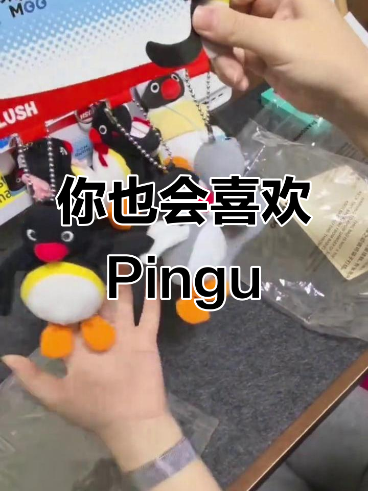 企鹅家族的魅力,你也能感受到吧!