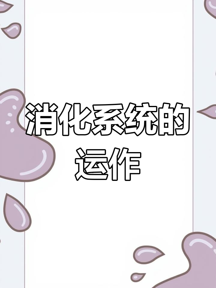 人体消化系统的工作原理