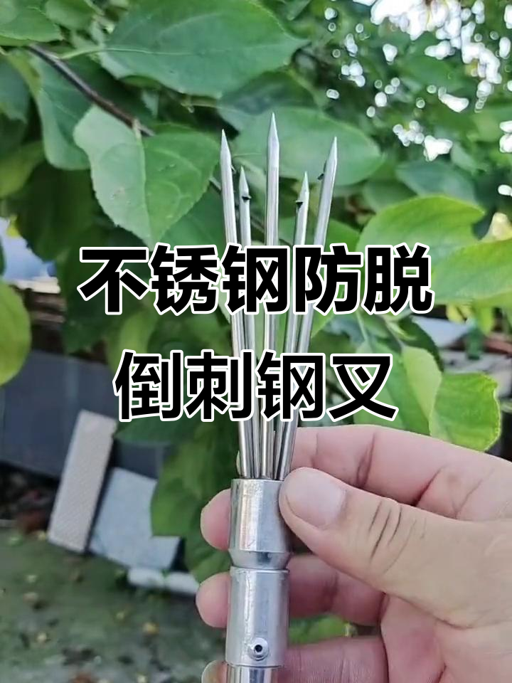 这款不锈钢小钢叉,轻松搞定鱼身,吃鱼不再花钱