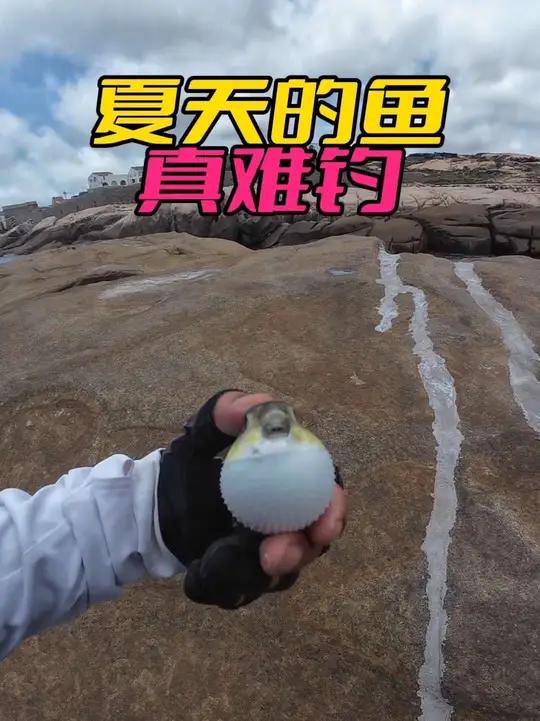 夏天的鱼真难钓啊