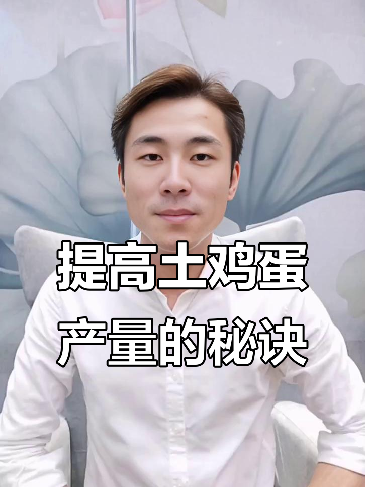 散养土鸡产蛋率低?这些方法提高高峰期产量