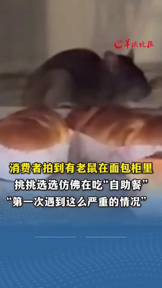 消费者拍到有老鼠在面包柜里,挑挑拣拣仿佛在吃“自助餐”。“第一次遇到这么严重的情况”(编辑