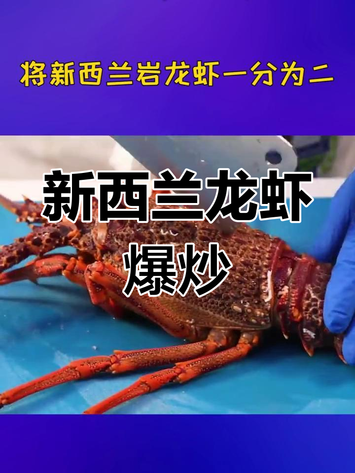 姜葱炒新西兰峡湾岩龙虾,鲜美至极