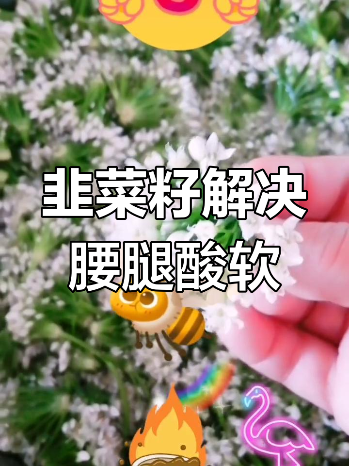 韭菜籽这样吃,男女都能恢复活力