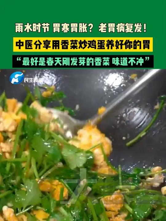 雨水时节,胃寒胃胀?老胃病复发!中医分享用香菜炒鸡蛋养好你的胃。“最好是春天刚发芽的香菜,