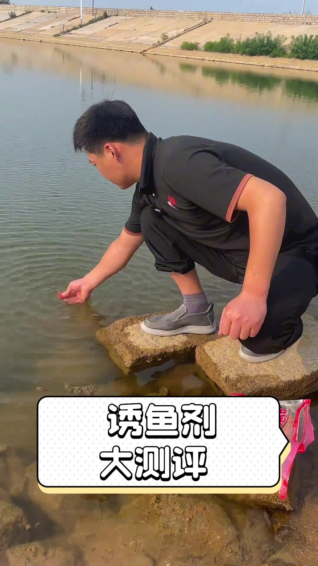 诱鱼剂大测评