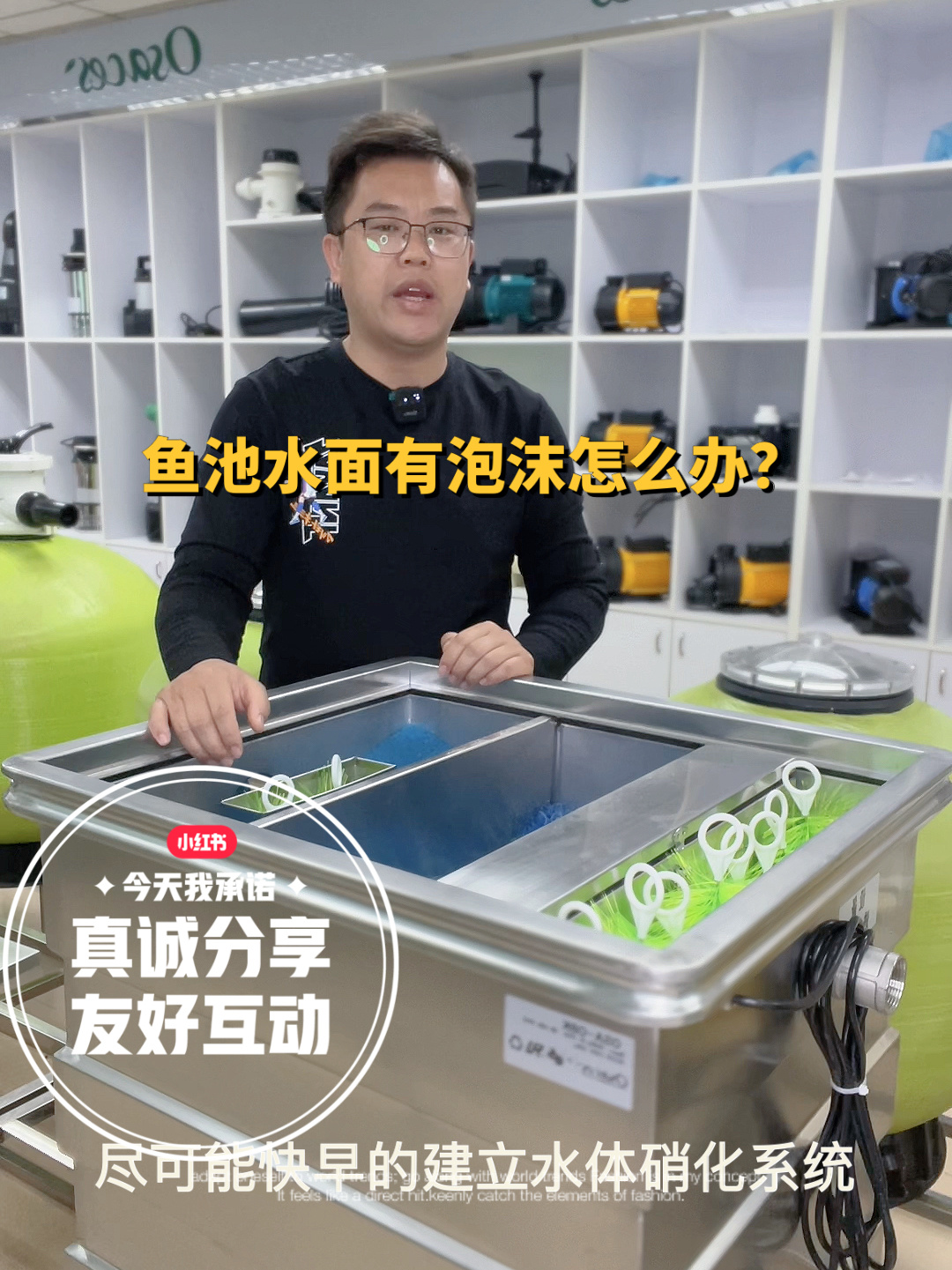 鱼池水面为什么会有泡沫?该怎么办?