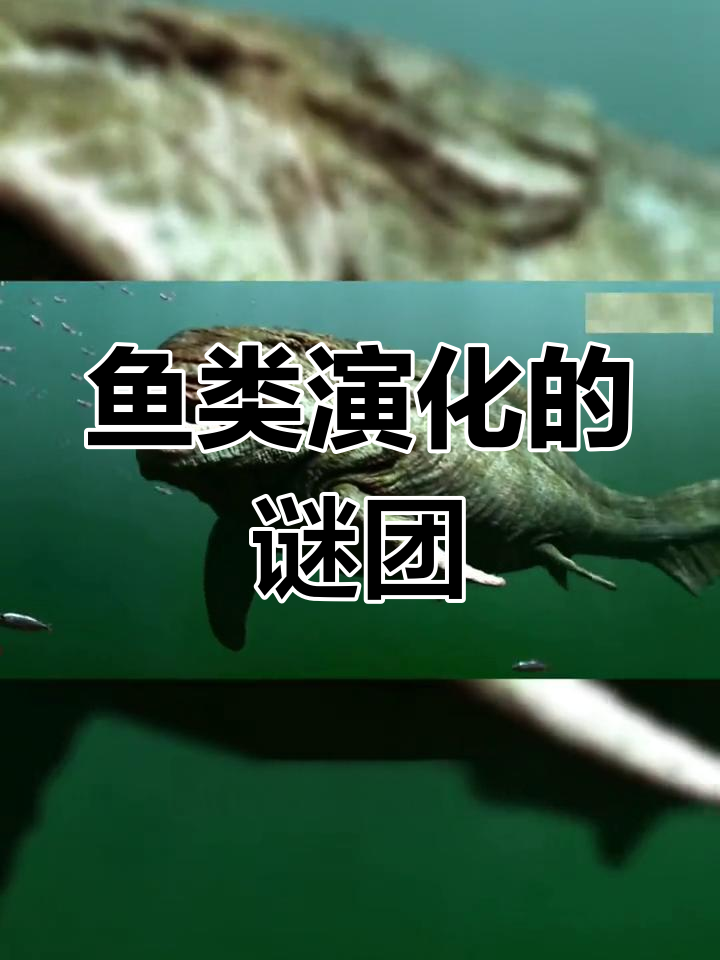 盾皮鱼曾是软骨与硬骨鱼的共同祖先,演化中遗失了硬骨